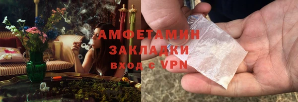 трава Ельня