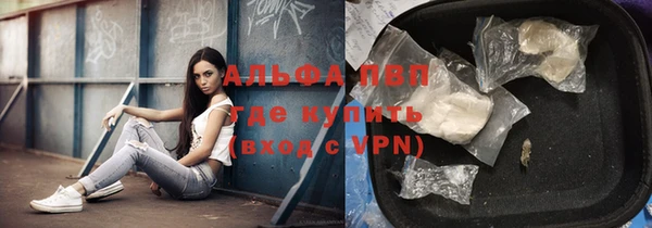 молекула духа Елабуга