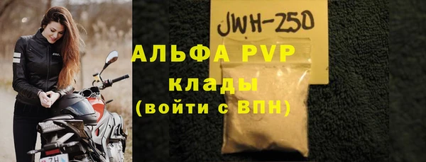 трава Ельня