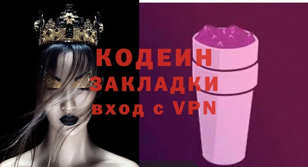 трава Ельня