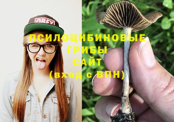 молекула духа Елабуга