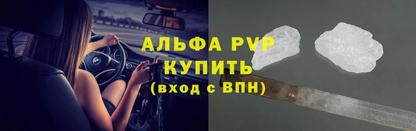молекула духа Елабуга