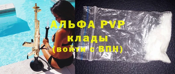 трава Ельня
