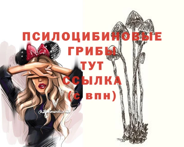 молекула духа Елабуга