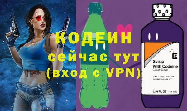 трава Ельня