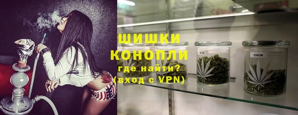 молекула духа Елабуга